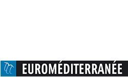 logo euromediterranee